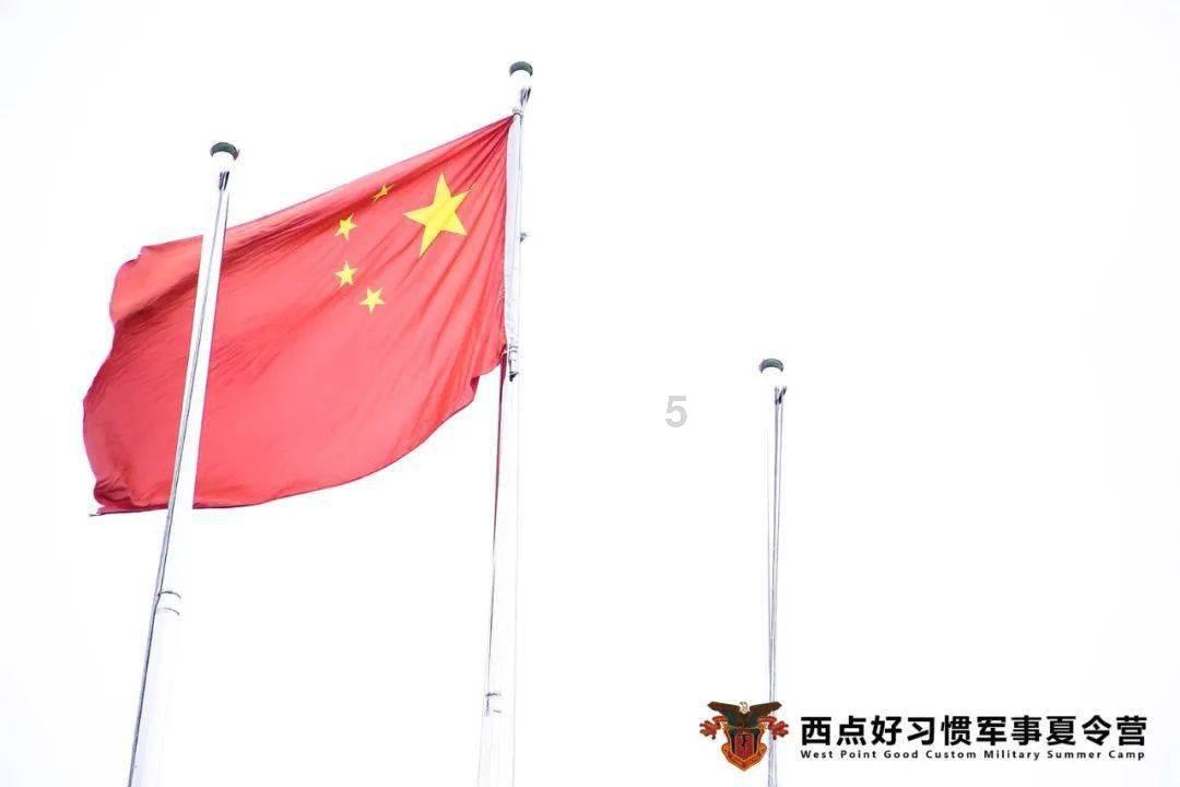 包茴香馅饺子用放葱吗？游戏画面